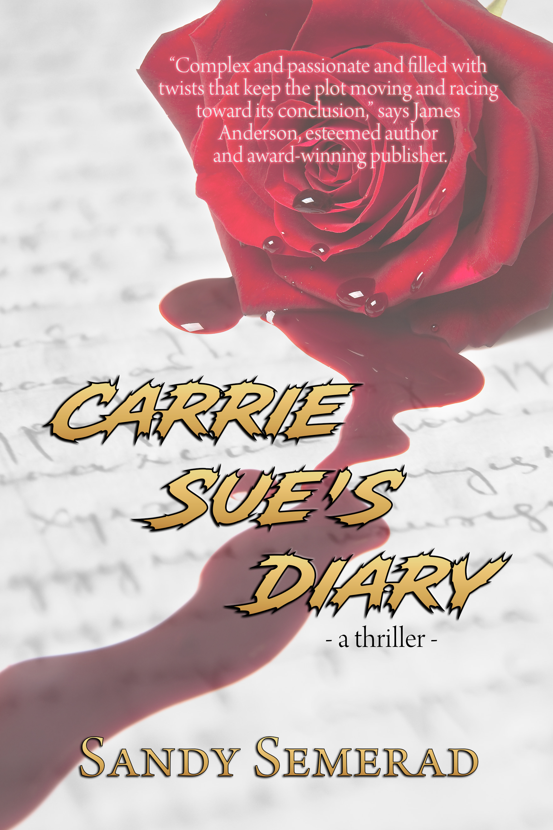 picture of sandy semerad carrie sue diary